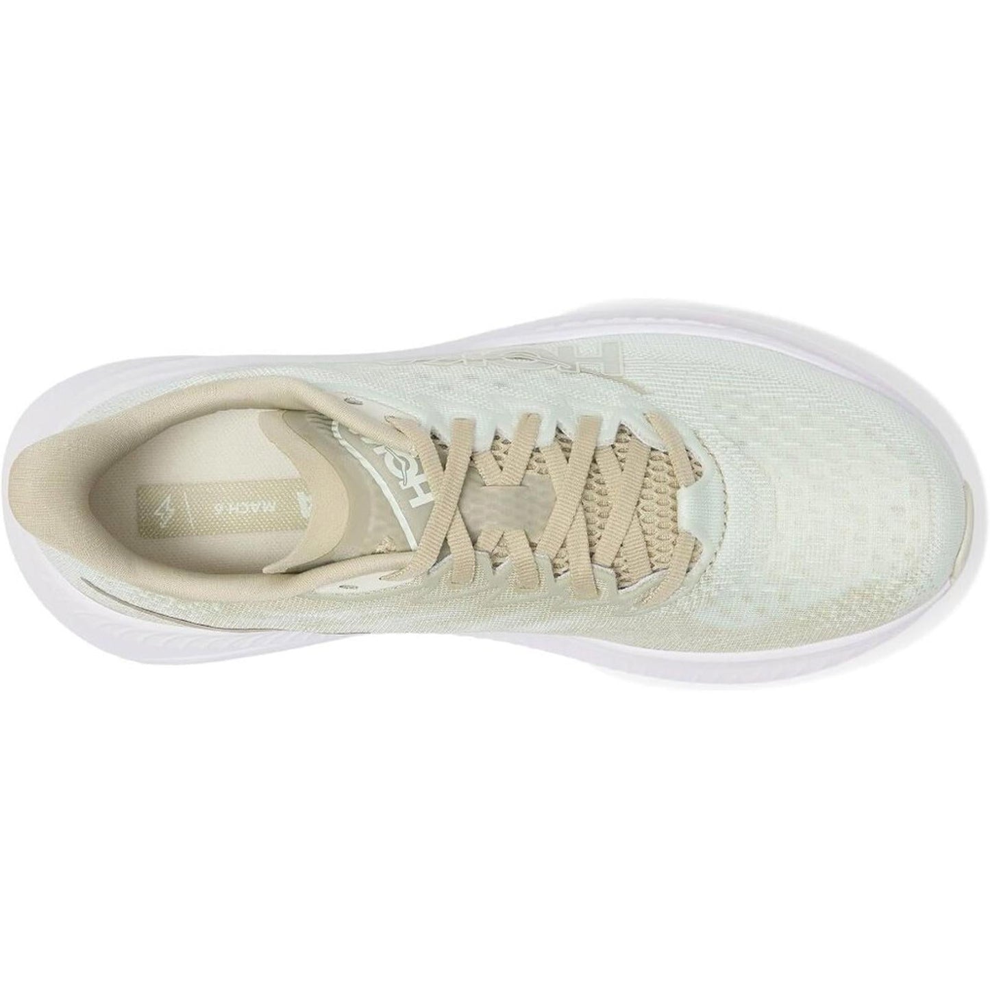 March 6 Oyster Mushroom Truffle Salt Sneakers