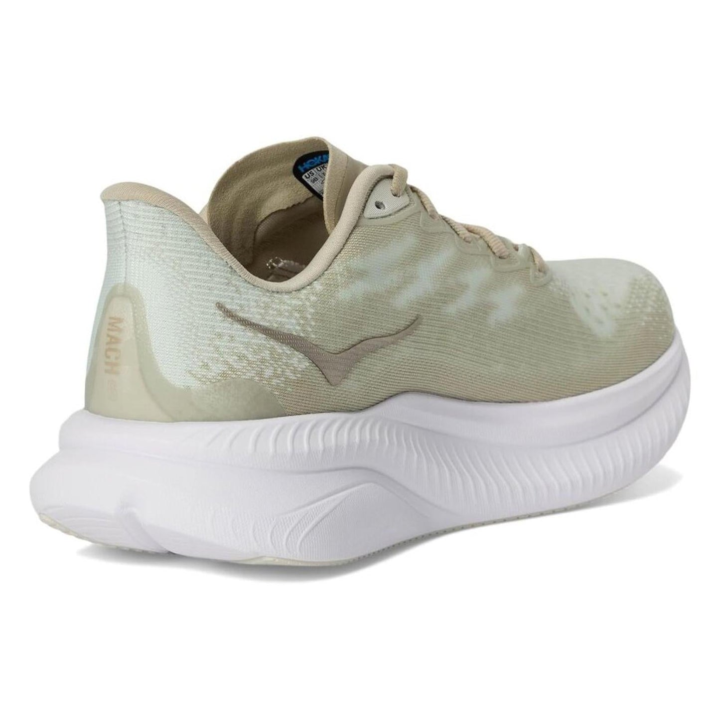 March 6 Oyster Mushroom Truffle Salt Sneakers